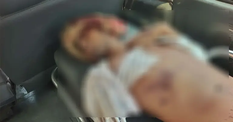 সড়ক দুর্ঘটনায় নিহত